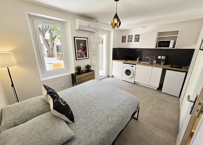 Gregbnb - Studio 17M2 - Terrasse - Clim - Ouest - 5